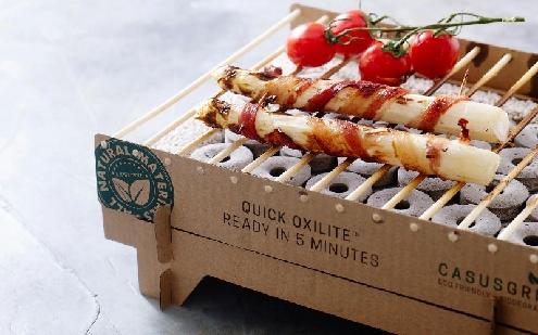 GRILL jednorazowy EKO (Casus)